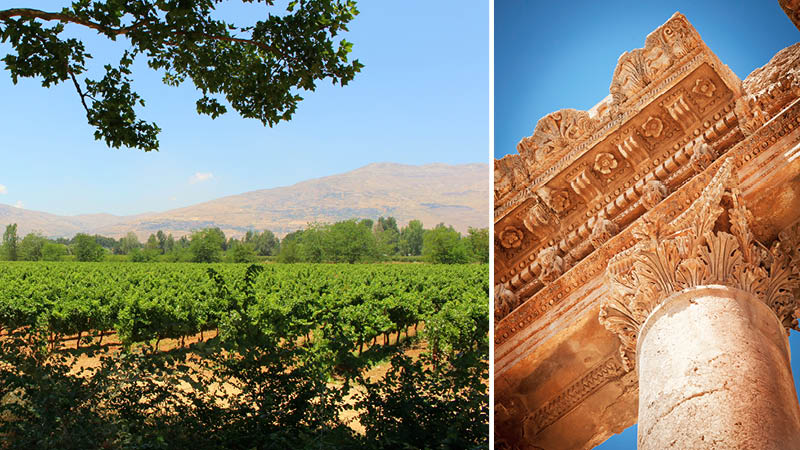 Templet i Baalbeck och vinmarker i Bekaadalen i Libanon.